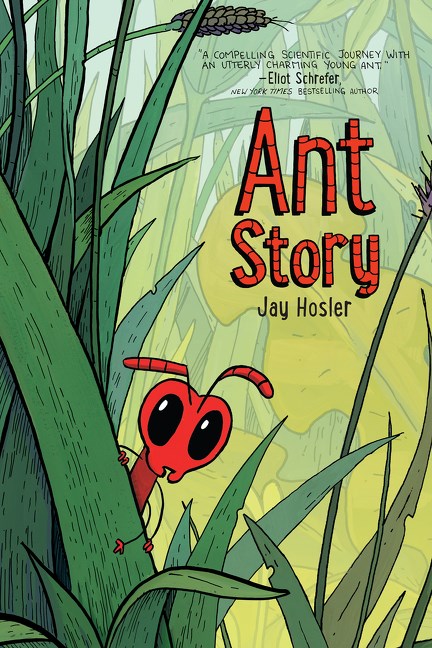 ANT STORY TP