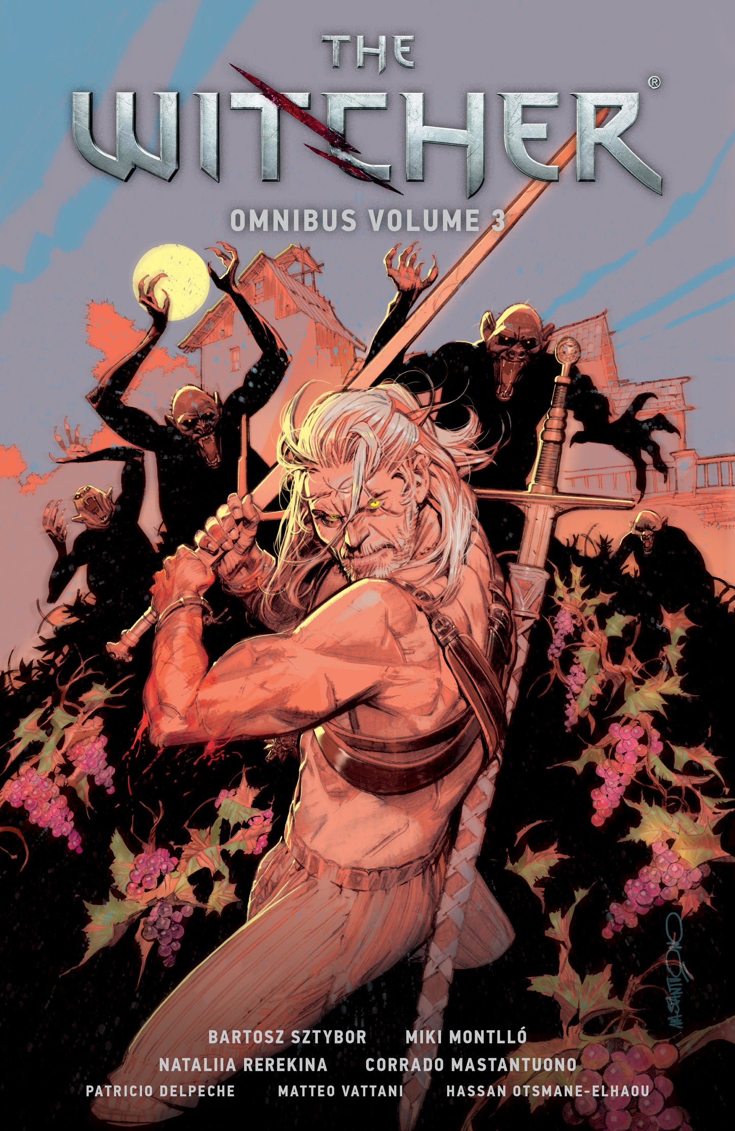 THE WITCHER OMNIBUS VOLUME 3 TP (Backorder, Allow 4-5 Weeks)