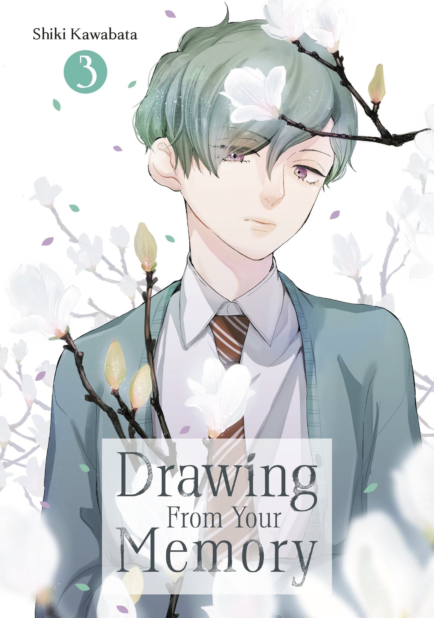 DRAWING FROM YOUR MEMORY 3 TP