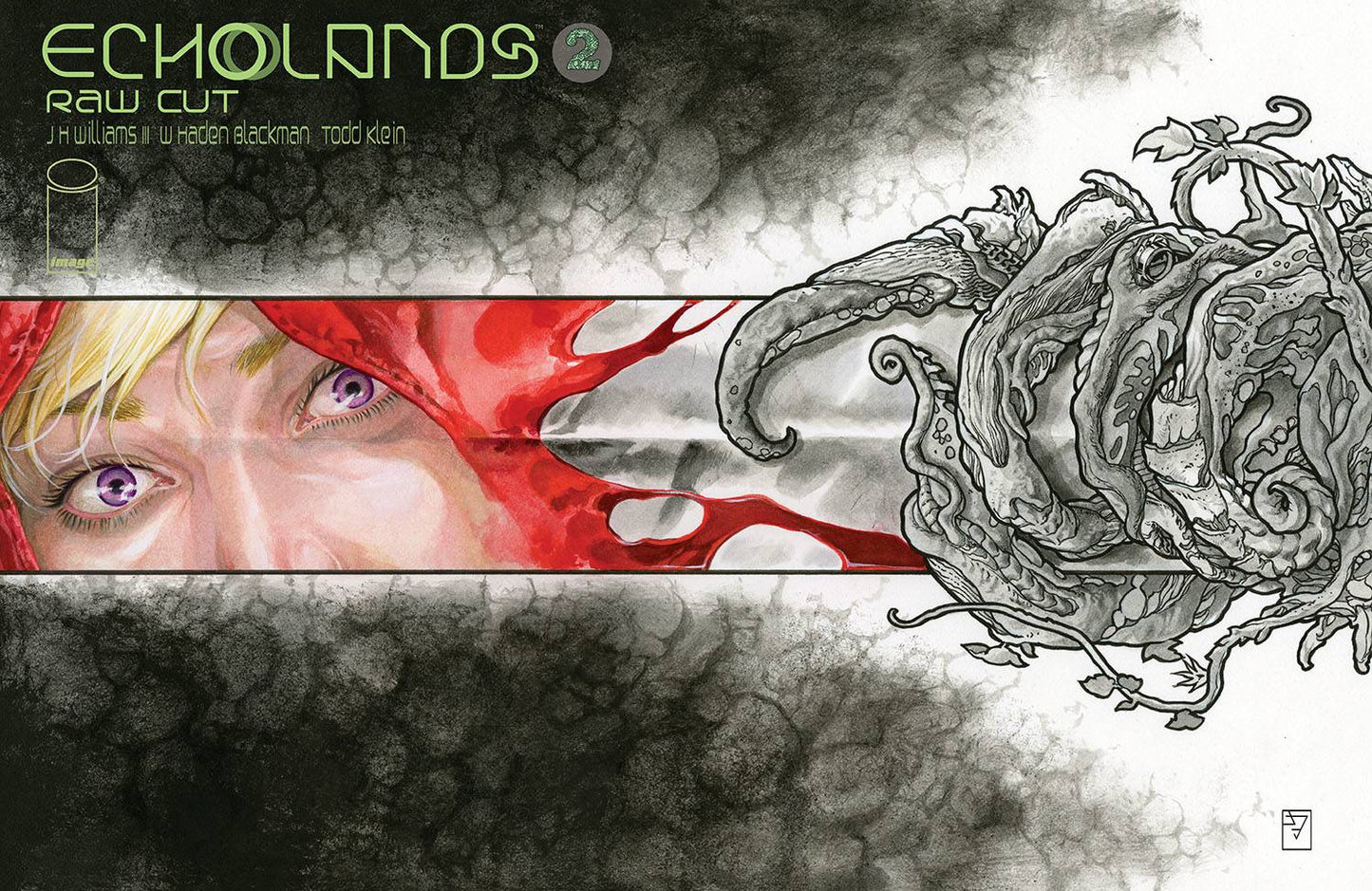 ECHOLANDS RAW CUT ED #2 CVR A WILLIAMS III (MR) - Comicbookeroo