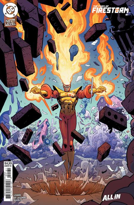 FURY OF FIRESTORM #1 (OF 6) CVR B RILEY ROSSMO CARD STOCK VAR (08 Apr Release)