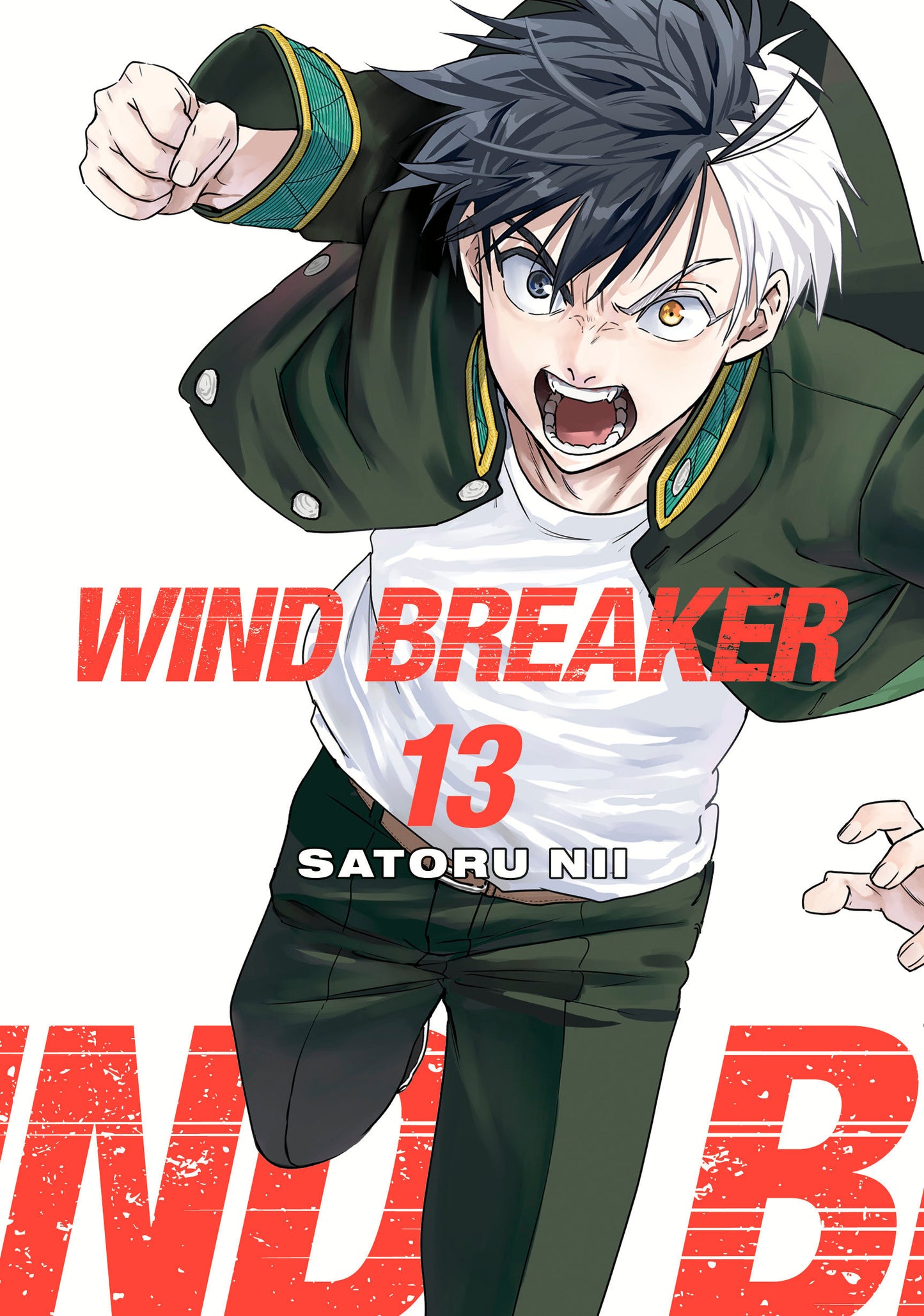 WIND BREAKER GN VOL 13 TP (Backorder, Allow 4-5 Weeks)