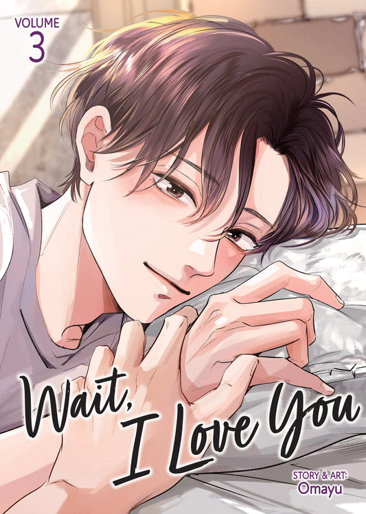 WAIT, I LOVE YOU VOL. 3 TP | SEVEN SEAS ENTERTAINMENT | Comicbookeroo
