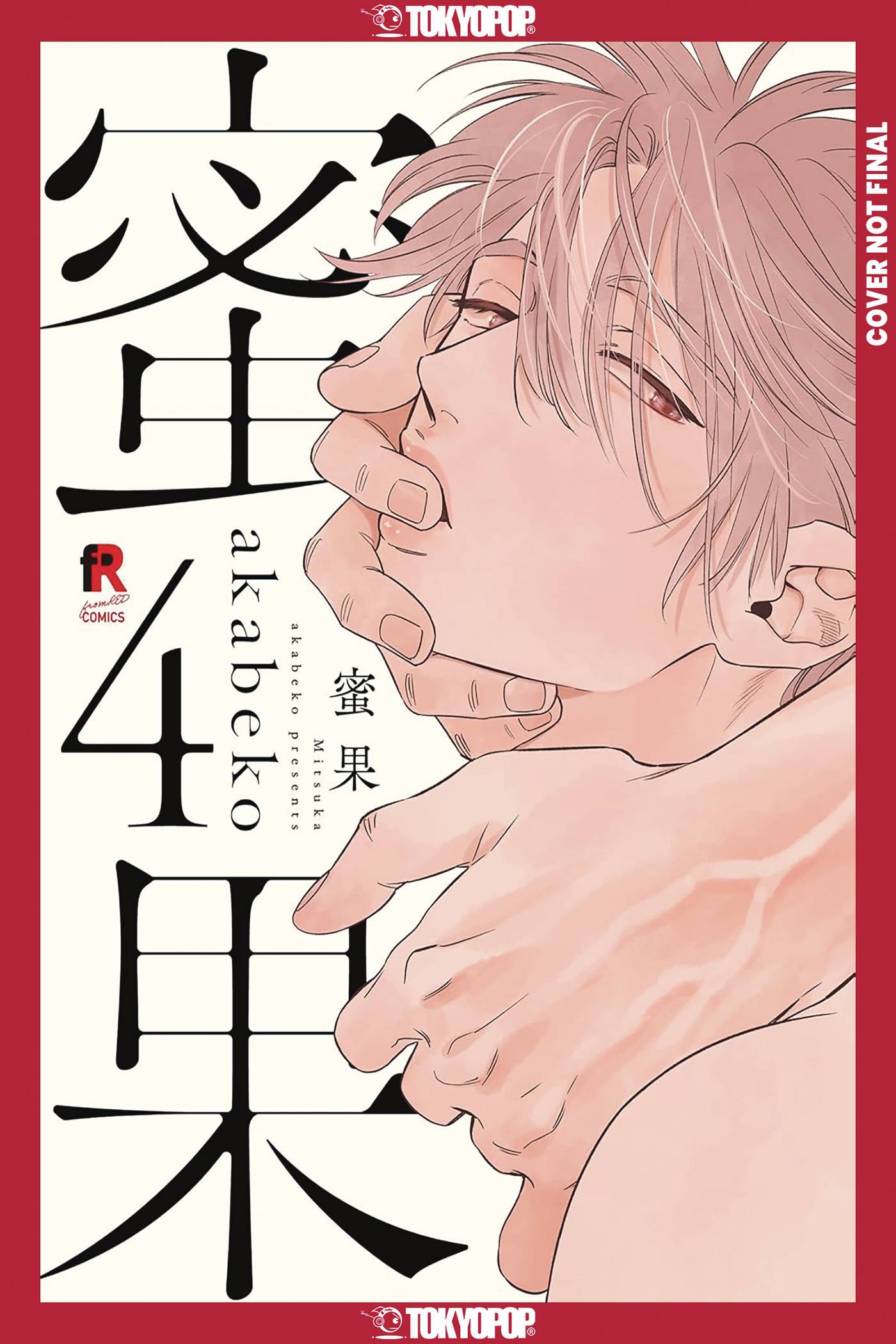 MITSUKA GN VOL 04 (MR) TP (Backorder, Allow 4-5 Weeks)