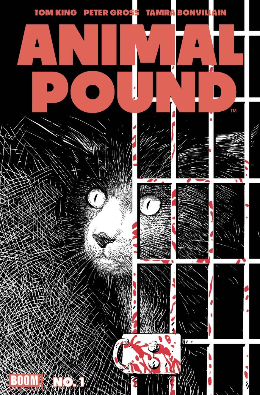 ANIMAL POUND #1 (OF 4) 2ND PTG (MR) - Comicbookeroo