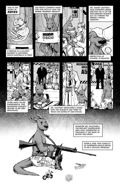 KILLEROO: SCARS (2ND PTG) - Comicbookeroo